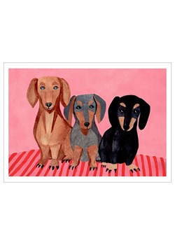 Poster &amp; Frame Druk artystyczny &quot;Dachshunds&quot; ze sklepu Limango Polska w kategorii Obrazy - zdjęcie 187221546