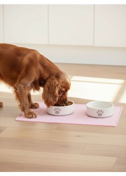 Sinsay - Miska dla zwierząt - kremowy ze sklepu Sinsay w kategorii Dla zwierząt - zdjęcie 187236285