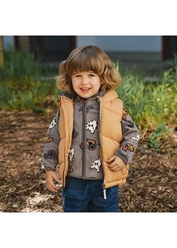 COOL CLUB 2-częściowy zestaw w kolorze pomarańczowo-szarym ze sklepu Limango Polska w kategorii Komplety niemowlęce - zdjęcie 187277658