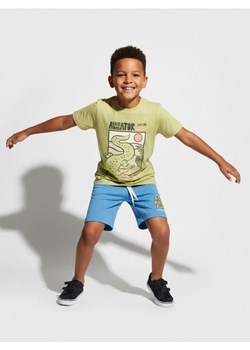 Sinsay - Koszulka z nadrukiem - zielony - id: 283DZ-81X - marki Sinsay - 187280696 Sinsay - Koszulka z nadrukiem - zielony ze sklepu Sinsay w kategorii T-shirty chłopięce - zdjęcie 187280696