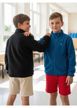 Sinsay - Szorty 5 pack - fioletowy - id: 7259C-04X - marki Sinsay - 187280778 Sinsay - Szorty 5 pack - fioletowy ze sklepu Sinsay w kategorii Spodenki chłopięce - zdjęcie 187280778