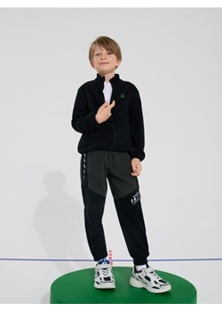 Sinsay - Spodnie polarowe Active - szary - id: 365FC-90X - marki Sinsay - 187297196 Sinsay - Spodnie polarowe Active - szary ze sklepu Sinsay w kategorii Spodnie chłopięce - zdjęcie 187297196