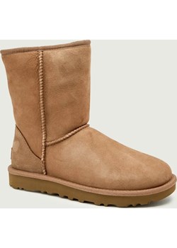 UGG Śniegowce W Classic Short II | zamsz ze sklepu Gomez Fashion Store w kategorii Śniegowce damskie - zdjęcie 187309085