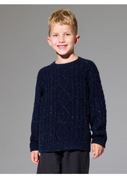 Sinsay - Sweter z dekoracyjnym splotem - granatowy ze sklepu Sinsay w kategorii Swetry chłopięce - zdjęcie 187333318