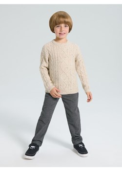 Sinsay - Sweter z dekoracyjnym splotem - beżowy ze sklepu Sinsay w kategorii Swetry chłopięce - zdjęcie 187333319