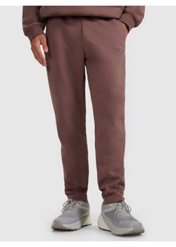 Męskie spodnie dresowe 4F 4FWAW25TTROM1251 - brązowe ze sklepu Sportstylestory.com w kategorii Spodnie męskie - zdjęcie 187343009