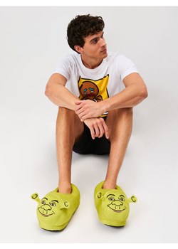 Sinsay - Kapcie z haftem Shrek - zielony ze sklepu Sinsay w kategorii Kapcie męskie - zdjęcie 187348307