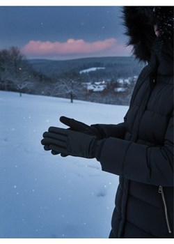 Sinsay - Rękawiczki - czarny ze sklepu Sinsay w kategorii Rękawiczki damskie - zdjęcie 187348366