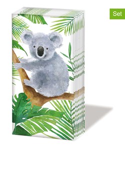 ppd Chusteczki (60 szt.) &quot;Koala bear&quot; w kolorze biało-zielonym ze sklepu Limango Polska w kategorii Akcesoria kuchenne - zdjęcie 187378836