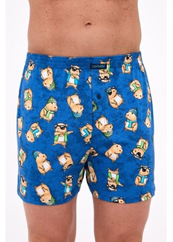 Bokserki Classic 001/178 Capybera ze sklepu lenaodniemowlakadoszkolniaka.pl w kategorii Majtki męskie - zdjęcie 187401915