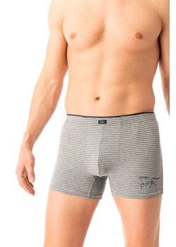 Bokserki MXH 354 ze sklepu lenaodniemowlakadoszkolniaka.pl w kategorii Majtki męskie - zdjęcie 187403396