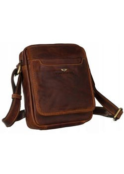 Torba saszetka listonoszka męska na ramię Peterson ze sklepu lenaodniemowlakadoszkolniaka.pl w kategorii Torby męskie - zdjęcie 187411995