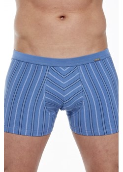 Bokserki majtki męskie VARIOUS Mini 228/133 ze sklepu lenaodniemowlakadoszkolniaka.pl w kategorii Majtki męskie - zdjęcie 187417827