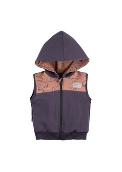 Kamizelka bezrękawnik dla chłopca Lazy Days Ewa Klucze ze sklepu lenaodniemowlakadoszkolniaka.pl w kategorii Odzież dla niemowląt - zdjęcie 187417988