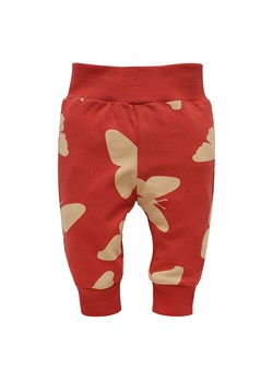 Spodnie legginsy dla dziewczynki Imagine Pinokio ze sklepu lenaodniemowlakadoszkolniaka.pl w kategorii Spodnie i półśpiochy - zdjęcie 187418946
