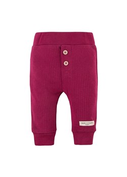 LEGGINSY SIMPLY COMFY Z GUZ EWA KLUCZE ze sklepu lenaodniemowlakadoszkolniaka.pl w kategorii Odzież dla niemowląt - zdjęcie 187419145