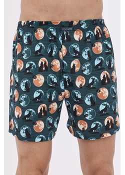 Bokserki majtki męskie Classic 011/159 3XL-5XL ze sklepu lenaodniemowlakadoszkolniaka.pl w kategorii Majtki męskie - zdjęcie 187429196