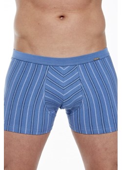 Bokserki majtki męskie VARIOUS Mini 228/132 ze sklepu lenaodniemowlakadoszkolniaka.pl w kategorii Majtki męskie - zdjęcie 187429718