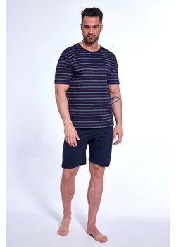 Piżama 338/51 Various piżama męska ze sklepu lenaodniemowlakadoszkolniaka.pl w kategorii Piżamy męskie - zdjęcie 187431916