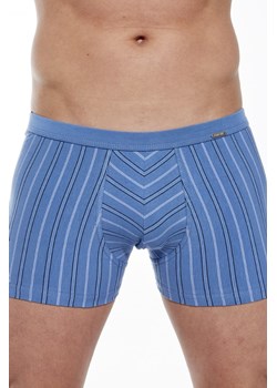 Bokserki majtki męskie VARIOUS Mini 228/131 ze sklepu lenaodniemowlakadoszkolniaka.pl w kategorii Majtki męskie - zdjęcie 187432507