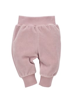 Leginsy spodnie niemowlęce welurowe różowe Hello Pinokio ze sklepu lenaodniemowlakadoszkolniaka.pl w kategorii Spodnie i półśpiochy - zdjęcie 187437115
