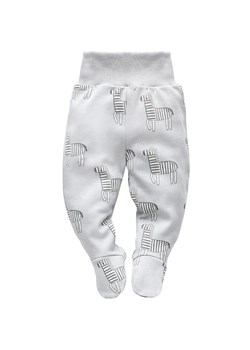 Półśpiochy niemowlęce Wild Animals Pinokio szare ze sklepu lenaodniemowlakadoszkolniaka.pl w kategorii Odzież dla niemowląt - zdjęcie 187446106