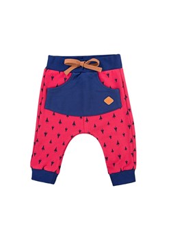 SPODNIE TRIP DRES DZ MALINA DRUK Ewa Klucze ze sklepu lenaodniemowlakadoszkolniaka.pl w kategorii Odzież dla niemowląt - zdjęcie 187451468