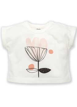 Bluzka PINOKIO z krótkim rękawem ze sklepu lenaodniemowlakadoszkolniaka.pl w kategorii Odzież dla niemowląt - zdjęcie 187465116