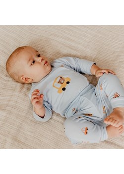 Body z długim rękawem rozpinane niemowlęce Cars&Bears Eevi ze sklepu lenaodniemowlakadoszkolniaka.pl w kategorii Body niemowlęce - zdjęcie 187466468