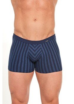 Bokserki VARIOUS Mini 228/124 ze sklepu lenaodniemowlakadoszkolniaka.pl w kategorii Majtki męskie - zdjęcie 187467976