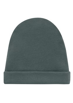 CZAPKA SCI LE TIGRE zielony 110 do 122 ze sklepu lenaodniemowlakadoszkolniaka.pl w kategorii Czapki dziecięce - zdjęcie 187469475