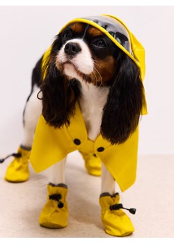 Mohito - Peleryna przeciwdeszczowa dla psa - żółty ze sklepu Mohito w kategorii Dla zwierząt - zdjęcie 187472448