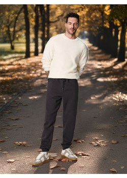 Sinsay - Spodnie - szary ze sklepu Sinsay w kategorii Spodnie męskie - zdjęcie 187479295