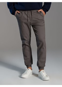 Sinsay - Spodnie jogger - szary ze sklepu Sinsay w kategorii Spodnie męskie - zdjęcie 187487537