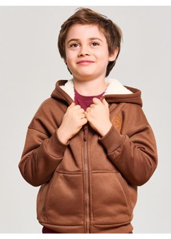 Sinsay - Cieplejsza bluza z kapturem z ozdobną naszywką - brązowy ze sklepu Sinsay w kategorii Bluzy chłopięce - zdjęcie 187513495