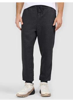 Męskie spodnie dresowe joggery 4F 4FRAW25TTROM1696 - szare ze sklepu Sportstylestory.com w kategorii Spodnie męskie - zdjęcie 187528706