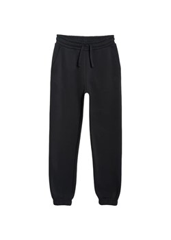 Spodnie dresowe dziewczęce TTROF1509 4F ze sklepu SPORT-SHOP.pl w kategorii Spodnie dziewczęce - zdjęcie 187556748