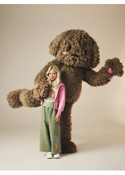 Reserved - Spodnie dresowe z nadrukiem Boffie & Poko - jasnozielony ze sklepu Reserved w kategorii Spodnie chłopięce - zdjęcie 187584398