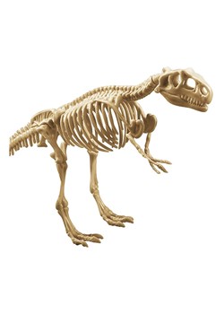 Explora Zestaw do eksperymentów archeologicznych - 5+ ze sklepu Limango Polska w kategorii Zabawki - zdjęcie 187601138