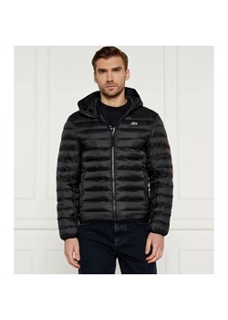 Lacoste Kurtka | Regular Fit ze sklepu Gomez Fashion Store w kategorii Kurtki męskie - zdjęcie 187606027