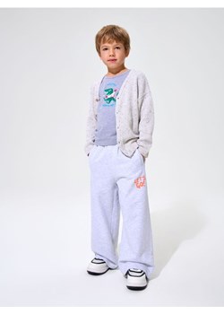 Sinsay - Spodnie dresowe Wide leg - szary ze sklepu Sinsay w kategorii Spodnie chłopięce - zdjęcie 187615366