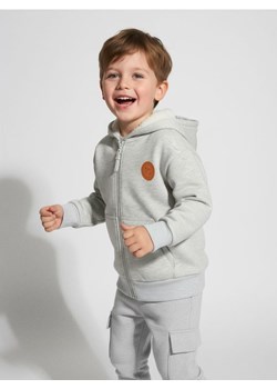 Sinsay - Cieplejsza bluza z kapturem z ozdobną naszywką - szary ze sklepu Sinsay w kategorii Bluzy chłopięce - zdjęcie 187615386