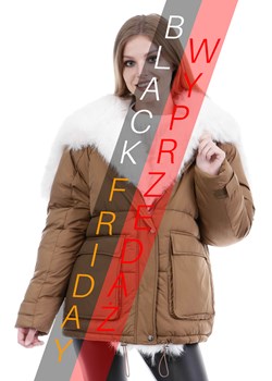 Kurtka zimowa damska ze sklepu brendi.pl w kategorii Kurtki damskie - zdjęcie 187616505