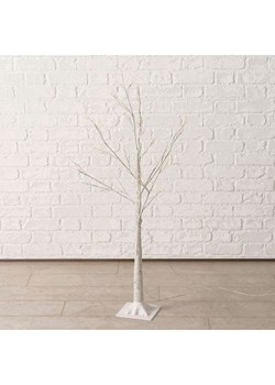 Boltze Drzewko dekoracyjne LED &quot;Jura&quot; w kolorze białym - wys. 115 cm ze sklepu Limango Polska w kategorii Doniczki i osłonki - zdjęcie 187618089