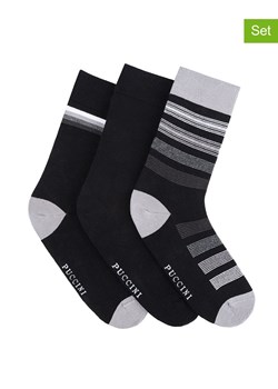 Puccini Skarpety (3 pary) w kolorze czarnym ze sklepu Limango Polska w kategorii Skarpetki męskie - zdjęcie 187619975