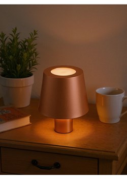 Sinsay - Lampka LED - brązowy ze sklepu Sinsay w kategorii Oświetlenie led - zdjęcie 187650477