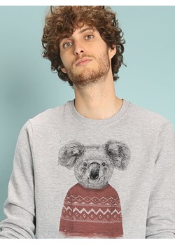 WOOOP Bluza &quot;Winter Koala&quot; w kolorze szarym ze sklepu Limango Polska w kategorii Bluzy męskie - zdjęcie 187710837