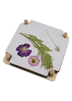 BLS Praska do odbijania kwiatów - 15 x 15 cm ze sklepu Limango Polska w kategorii Zabawki - zdjęcie 187716917