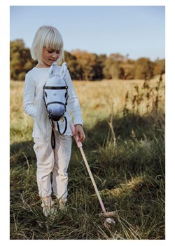 ASTRUP Gra w polo do hobby horsingu - 3+ ze sklepu Limango Polska w kategorii Zabawki - zdjęcie 187739559