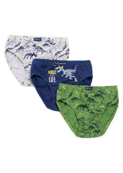 Slipy chłopięce B 223 SD 3-pack ze sklepu lenaodniemowlakadoszkolniaka.pl w kategorii Majtki dziecięce - zdjęcie 187761197